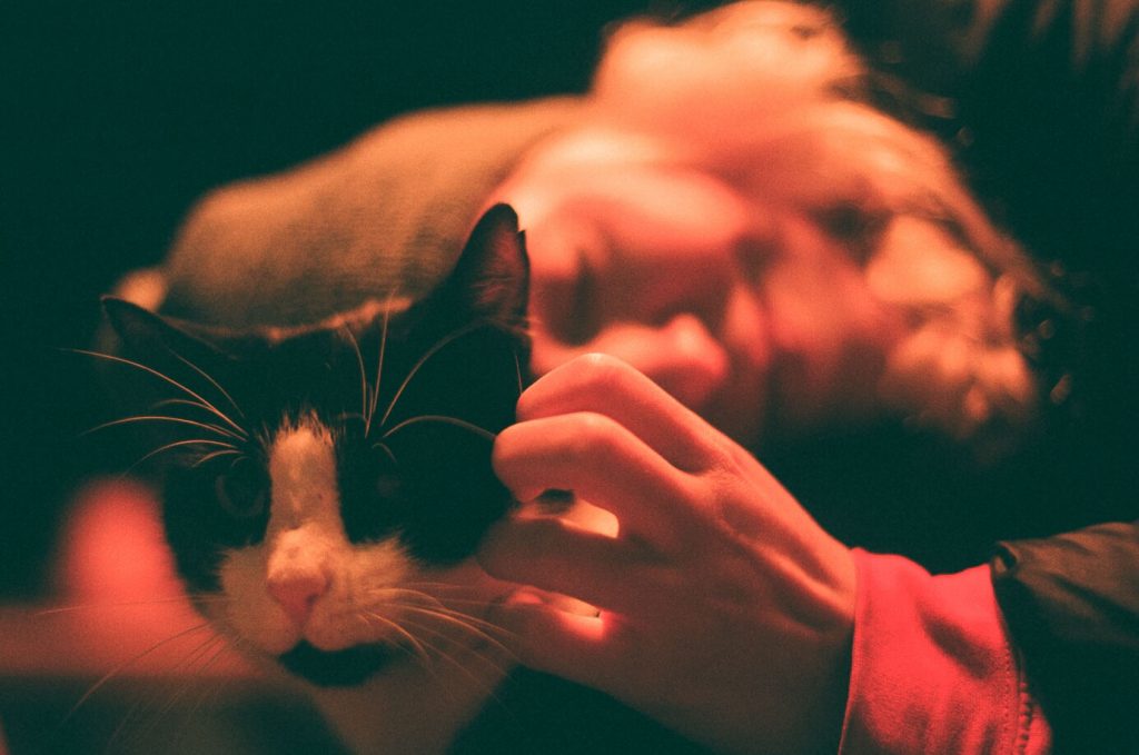 Canon F1 Review in 2023 SLR Film Camera