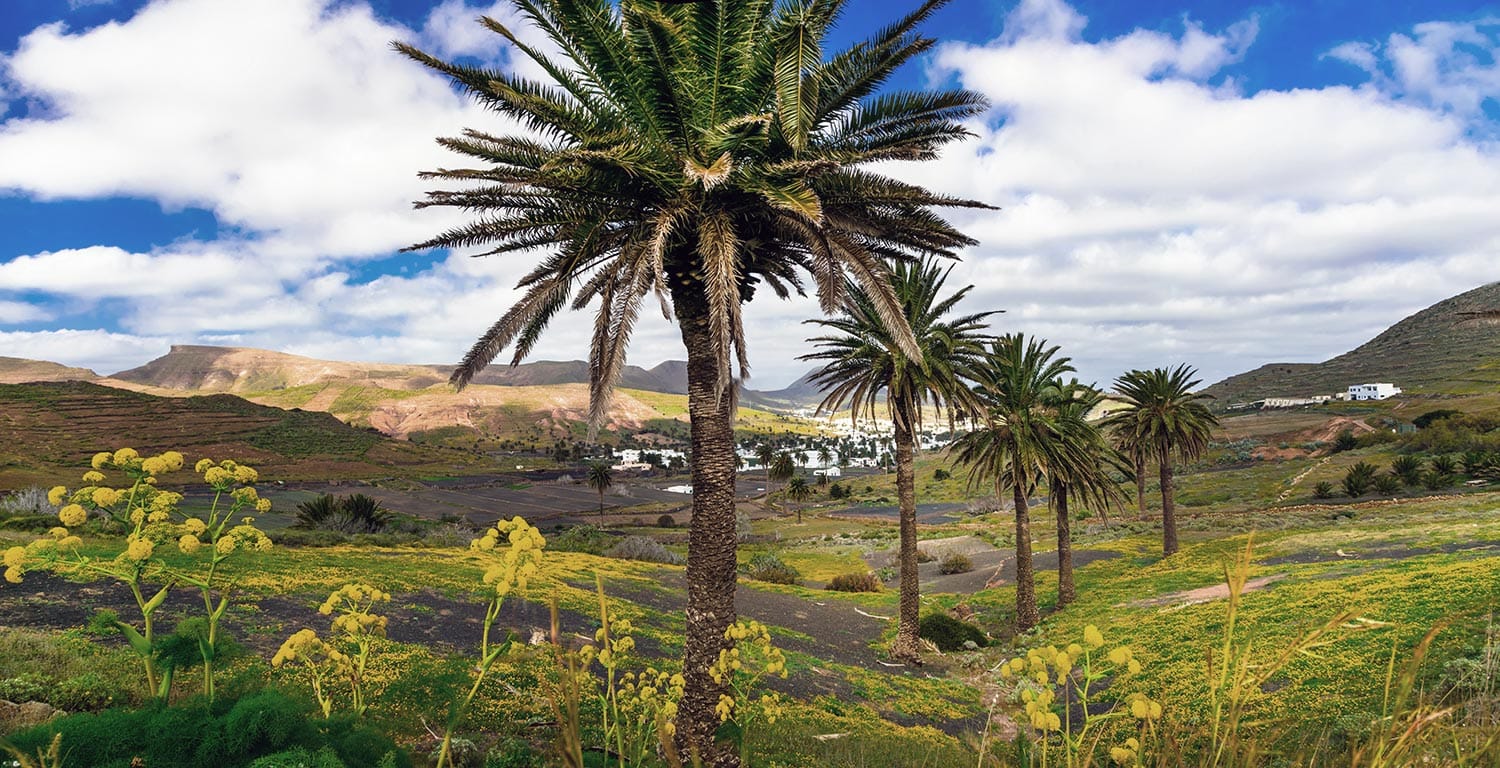 Top 18 Things To Do In Lanzarote | Cultured Kiwi