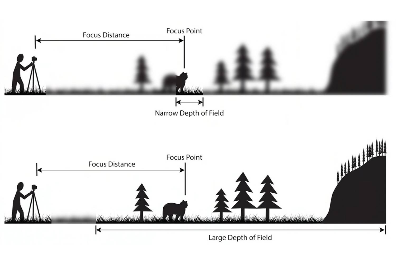 7 Ways to Create Beautiful Bokeh Effect in Photography