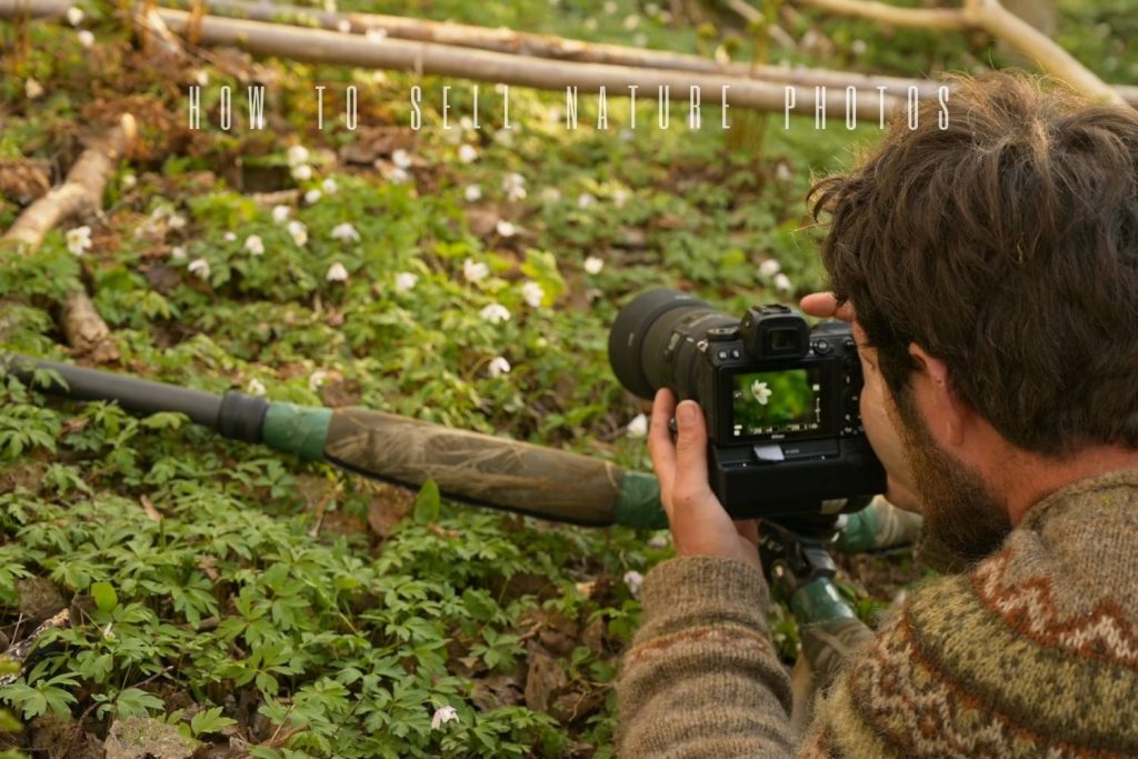 How to Sell Nature Photos in 2023