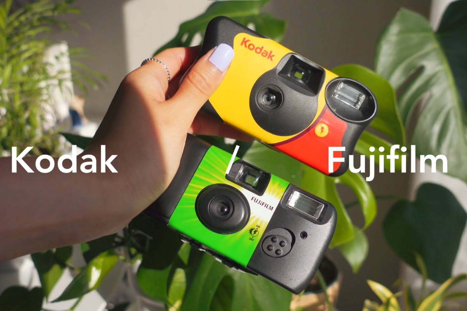 How Many Pictures Can a Disposable Camera Take?