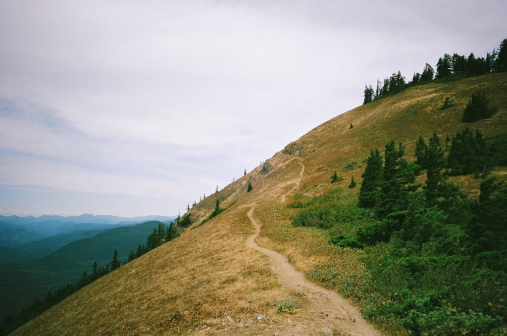 Landscape Photography Using Fuji Superia